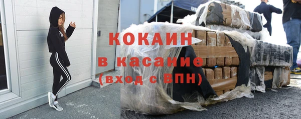 стаф Балахна